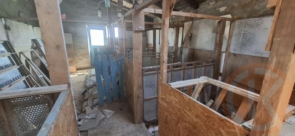 
  Продается универсальное помещение 1000 м². Фото 11.