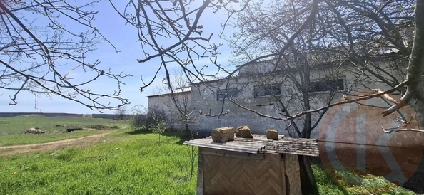 
  Продается универсальное помещение 1000 м². Фото 32.