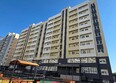 Цитрус, литер 1: Ход строительства 9 октября 2026
