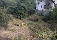 Ловью: Ход строительства 2 октября 2026