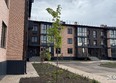 Нова Вита, дом 23: Ход строительства 10 июля 2025