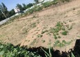 Атаман, дом 2: Ход строительства 1 июля 2026