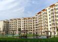 Кипарис, литер 6: Ход строительства 29 сентября 2026