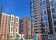 Репина-Парк, литера 6: Ход строительства 14 октября 2026