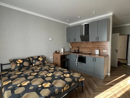Снять однокомнатную квартиру Васильева К.А. ул, 23  м&sup2;, 2500 рублей
