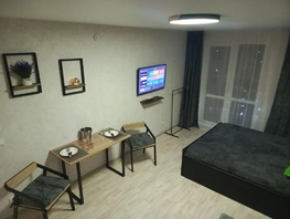 Снять однокомнатную квартиру Вадима Лемеша ул, 27  м&sup2;, 2500 рублей