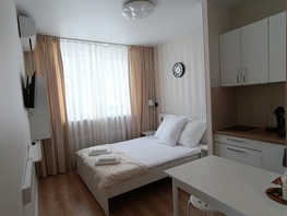 Снять однокомнатную квартиру Береговая ул, 18  м&sup2;, 2816 рублей