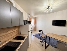 Снять однокомнатную квартиру Бжегокайская ул, 24  м&sup2;, 2050 рублей