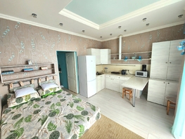 Продается 1-комнатная квартира Лысая гора ул, 26  м², 5250000 рублей