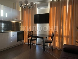 Продается 1-комнатная квартира Ленина ул, 27 м², 8800000 рублей