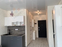 Продается 1-комнатная квартира Старокубанская ул, 25  м², 6500000 рублей