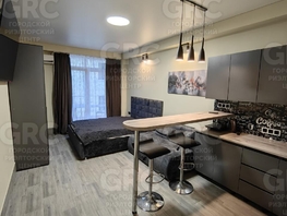 Продается Студия Фабрициуса Я. ул, 24.8 м², 6000000 рублей
