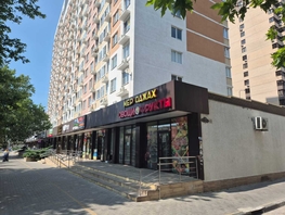 Продается 1-комнатная квартира Владимирская ул, 41 м², 7200000 рублей