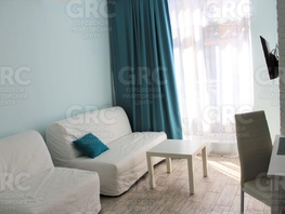 Продается Студия Курортный пр-кт, 24  м&sup2;, 9500000 рублей