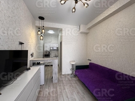 Продается Студия Батумское шоссе ул, 20.4  м&sup2;, 4600000 рублей