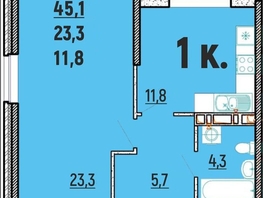 Продается 1-комнатная квартира ЖК Клубный дом Агой, 45.1 м², 11275000 рублей