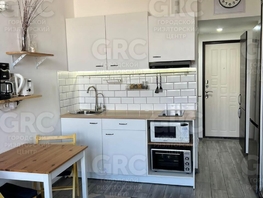 Продается Студия Лысая гора ул, 22.2  м&sup2;, 6800000 рублей