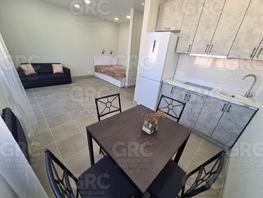 Продается 1-комнатная квартира Трунова пер, 33  м&sup2;, 17000000 рублей