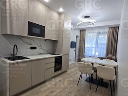 Продается 2-комнатная квартира Пластунская ул, 27.6  м&sup2;, 14700000 рублей