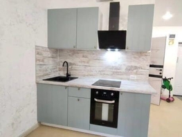 Продается 1-комнатная квартира Трунова пер, 42  м², 18800000 рублей