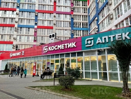 Продается 2-комнатная квартира Пластунская ул, 45  м&sup2;, 15000000 рублей