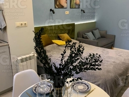 Продается Апартамент Курортный пр-кт, 20.3  м&sup2;, 13000000 рублей