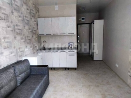 Продается 1-комнатная квартира Лазурная долина ул, 23.4  м&sup2;, 6300000 рублей