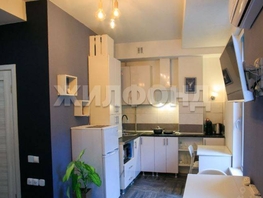 Продается 1-комнатная квартира Березовая ул, 23.5  м&sup2;, 11700000 рублей