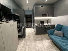 Продается 1-комнатная квартира Ясногорская (Хостинский р-н) ул, 18  м&sup2;, 10500000 рублей