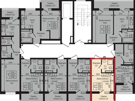 Продается Студия ЖК Ботаника Хиллс, лит 3, 17.21  м&sup2;, 5843310 рублей