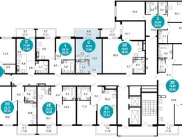 Продается 1-комнатная квартира ЖК Лестория, дом 5, 23.9  м&sup2;, 11004405 рублей
