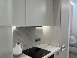 Продается 1-комнатная квартира ЖК Девелопмент-Плаза, 28  м&sup2;, 10500000 рублей