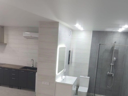 Продается 1-комнатная квартира Дзержинского ул, 34  м&sup2;, 6400000 рублей
