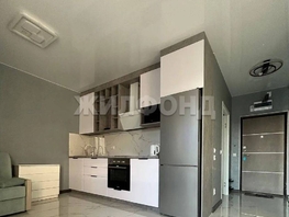 Продается Студия Искры (Хостинский р-н) ул, 27.4  м&sup2;, 9800000 рублей