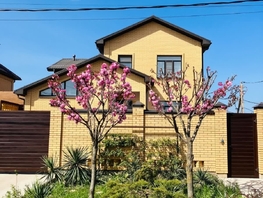 Продается Дом Чепигинская ул, 242.4  м&sup2;, участок 7 сот., 50600000 рублей