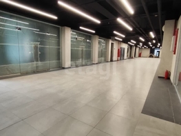 Сдается Универ. помещ Гаврилова П.М. ул, 30  м&sup2;, 60000 рублей