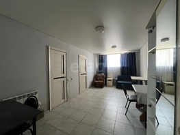 Продается Апартамент Агрохимическая ул, 41.7  м&sup2;, 2700000 рублей