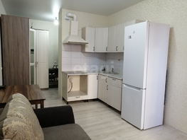 Продается Студия Евгении Жигуленко ул, 24.1  м&sup2;, 3990000 рублей