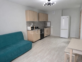 Продается Студия Черкасская ул, 25.9  м&sup2;, 3850000 рублей