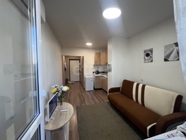 Продается Студия Адмирала Серебрякова ул, 20.6  м&sup2;, 4150000 рублей