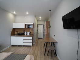 Продается Студия ЖК ДОГМА ПАРК, литера 9, 21.1  м&sup2;, 4800000 рублей