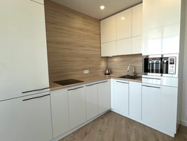 Снять однокомнатную квартиру Золотой берег пр-д, 42  м&sup2;, 6500 рублей