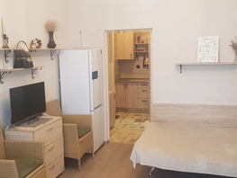Снять однокомнатную квартиру Пионерский пр-кт, 30  м&sup2;, 3800 рублей