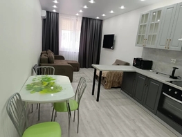 Снять однокомнатную квартиру Владимирская ул, 51  м&sup2;, 3500 рублей