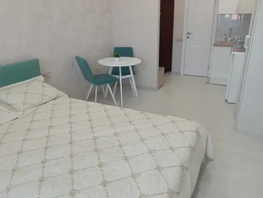 Снять однокомнатную квартиру Рябиновая ул, 23  м&sup2;, 2500 рублей
