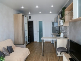 Снять однокомнатную квартиру Рябиновая ул, 27  м&sup2;, 3000 рублей