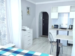 Снять однокомнатную квартиру Рябиновая ул, 25  м&sup2;, 2625 рублей