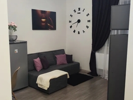 Снять однокомнатную квартиру Скандинавская ул, 40  м&sup2;, 2500 рублей
