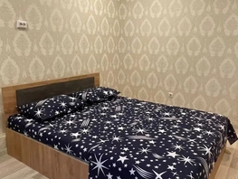 Снять однокомнатную квартиру Мусоргского М.П. ул, 27  м&sup2;, 1800 рублей