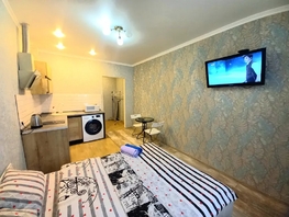 Снять однокомнатную квартиру Евгении Жигуленко ул, 25  м&sup2;, 2187 рублей